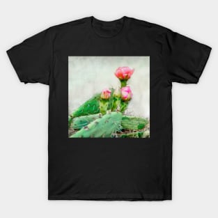 Cactus Pink Blooms T-Shirt